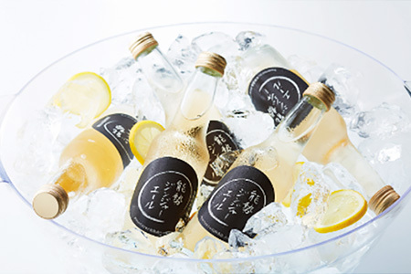 《お酒にも合うちょっと大人な》 能勢ジンジャーエール 250ml × 24本