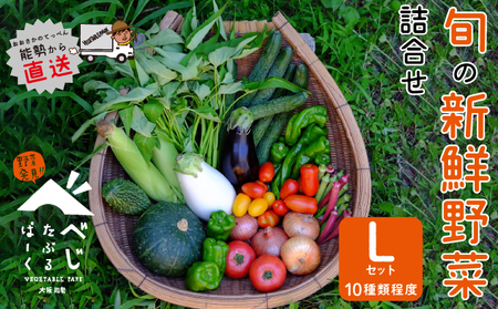 [大阪能勢産] [農家直送] べじたぶるぱーくの旬の新鮮野菜詰合せ Lセット (10種類)