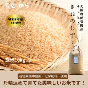 令和7年産きぬひかり「きねのしずく」10kg(玄米)栽培期間中農薬・化学肥料不使用 | 合同会社農園のら