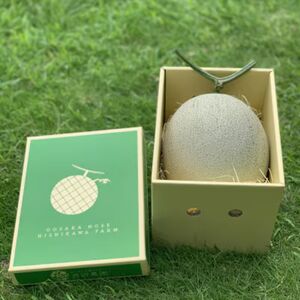 [令和8年8月上旬発送予定] 大阪府能勢町産 赤肉メロン 『マリアージュ』 1玉 (1.5kg-1.8kg)