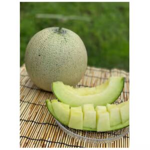 [令和8年8月初旬発送予定] 大阪府能勢町産 青肉メロン 『アールスメロン』 1玉 (1.5kg-1.8kg)