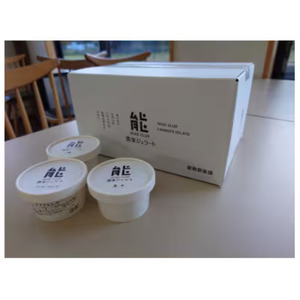 [能勢倶楽部ジェラート工房 ]農家ジェラート10個セット 里山の恵みをアイスでお届け 