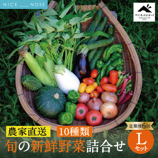[定期便 6回] [大阪能勢産] [農家直送] べじたぶるぱーくの旬の新鮮野菜詰合せ Lセット (10種類) 