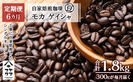 y6z J QCVij 300g R[q[ R[q[   ̂܂ kCӂ邳Ɣ[