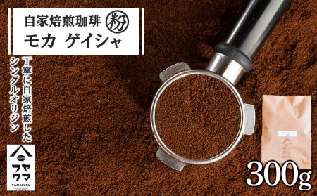  J QCVij 300g R[q[ R[q[    kCӂ邳Ɣ[