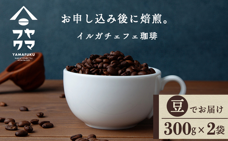 CK`FtFij 300g×Q  VO Mtg }tNR[q[ kC ڕ