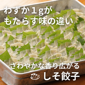 ⑳ぎょーざやさんのしそ餃子18個入り(027_5022)※北海道・沖縄・離島への配送不可