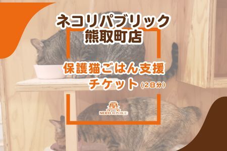 保護猫ごはん支援(2日分)チケット(047_5003)