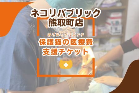 保護猫の医療費支援チケット（047_5004）