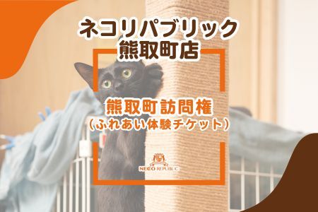 F撬K⌠iӂꂠ̌`Pbgji047_5006j