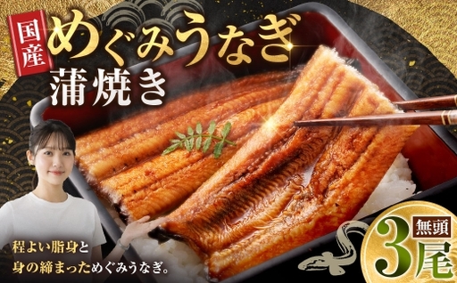 めぐみうなぎ 蒲焼き 3尾 セット うなぎ 鰻 ウナギ 魚類 うな重 うな丼 晩ごはん 惣菜 おかず 贅沢 冷凍 国産 大阪府産 養殖 無投薬 [ 2026年6月下旬〜7月上旬発送予定 ]