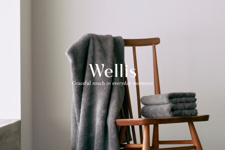 Wellis フルセット  (009_796)