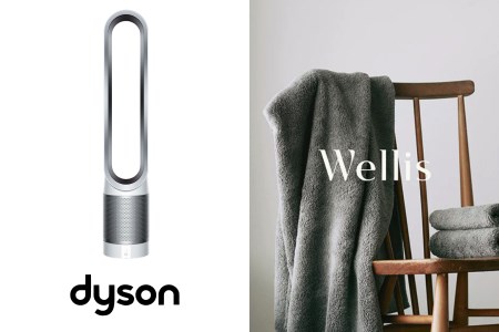 Wellis×dyson　Wellis　Dyson Pure Cool Link™ 空気清浄機能付タワーファン ホワイト／シルバー (TP03 WS)　セット　BK1　W4(009_817)