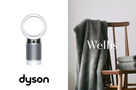 Wellis×dyson Wellis Dyson Pure Cool™ 空気清浄テーブルファン ホワイト／シルバー (DP04 WS N) セット BK1 B2F2W2H2(009_820)