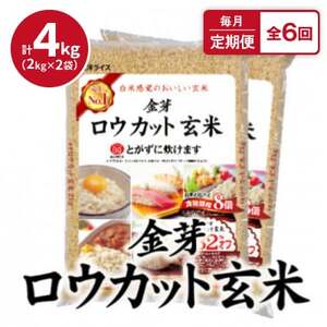 【毎月定期便】金芽ロウカット玄米4kg(2kg×2袋)ふっくら柔らかい美味しさ!全6回【4056786】