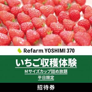 [平日限定]詰め放題!いちご収穫体験チケット Refarm YOSHIMI 370