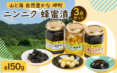 山と海 自然豊かな 岬町 3点セット(1、2、4) にんにく加工食品_惣菜・加工品 _