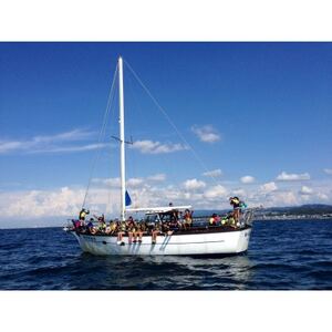 N[WǑ`Pbgy4ľ`Pbgz(l2lEl2l)1ԁ@@_sE`Pbg  ̌`Pbg _y1489950z