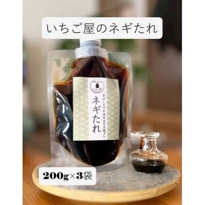 [3袋入り]万能調味料「ねぎタレ」便利なチューブパウチ 保存料・着色料無添加[配送不可地域:離島]