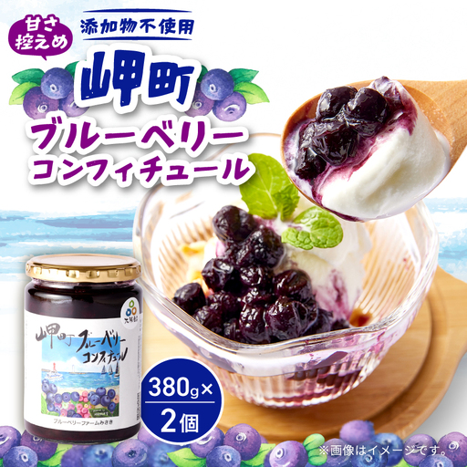 《2個》岬町ブルーベリーコンフィチュール(ジャム)380g×2　甘さ控えめ/添加物不使用【1713066】