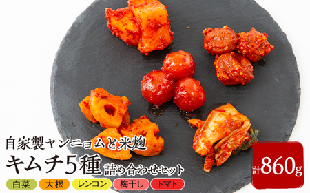 キムチ5種詰め合わせセット[配送不可地域:離島・北海道・沖縄県・東北・九州]