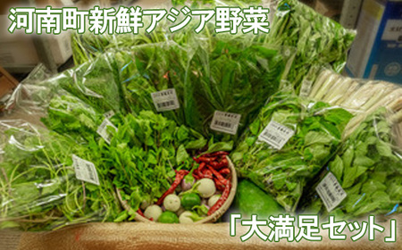 河南町新鮮アジア野菜「大満足セット」