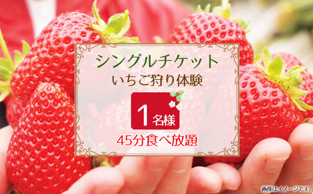 䕎��@�V���O���`�P�b�g No.394