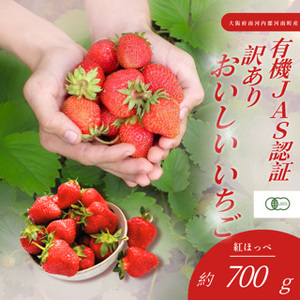 訳あり おいしいいちご 有機JAS認証いちご 700g 36粒 / 苺 果物 フルーツ 完熟いちご 有機いちご 自然栽培 オーガニック 香り豊か 甘酸っぱい わけあり 家庭用 国産 河南町産 大阪府 特産 No.406