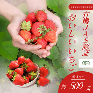 おいしいいちご 有機JAS認証いちご 500g 24粒 / 苺 果物 フルーツ 完熟いちご 有機いちご 自然栽培 オーガニック 香り豊か 甘酸っぱい 国産 河南町産 大阪府 特産 No.407