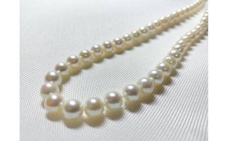 アコヤ真珠　素材　連　7-7.5mm