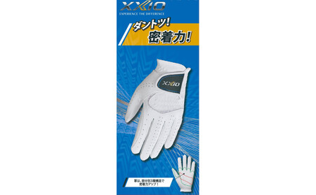 ゼクシオグローブ GGG-X020 ブラック21cm