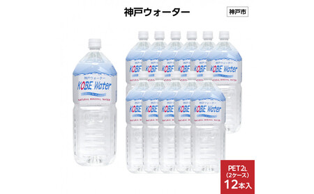 _˃EH[^[@PET2L×12{(6{2P[X)