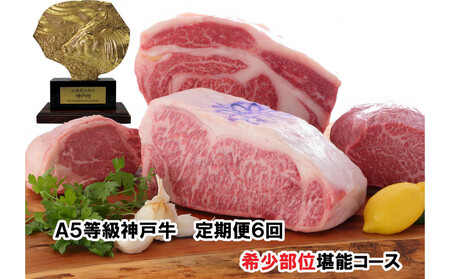 [定期便6回] A5等級神戸牛 希少部位堪能コース [神戸ぐりる工房]ステーキ すき焼き 焼肉(隔月でお届け)
