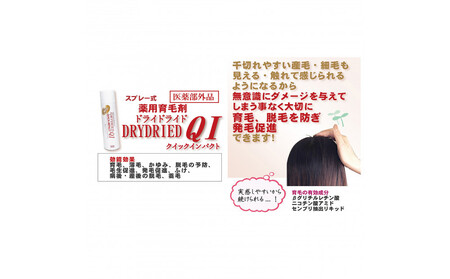 [ブラウン系の髪に]医薬部外品 育毛・発毛促進剤 ドライドライド クイックインパクト 120mL