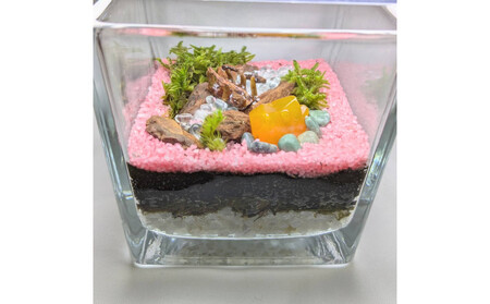 ととのいの湯、テラリウムにて