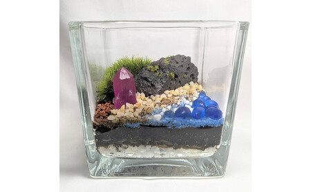 ポートの記憶、テラリウムに