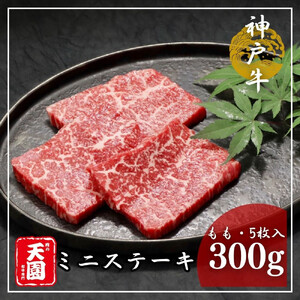 [ふるさと納税][肉の天園]神戸牛 ミニステーキ (5枚入) 300g