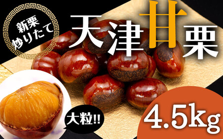 ���Y�� �嗱�V�ÊÌI 4.5kg �y���ꌧ�E�����z���s�z