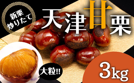 ���Y�� �嗱�V�ÊÌI 3kg �y���ꌧ�E�����z���s�z