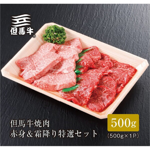 [但馬牛]焼肉 赤身&霜降り 特選セット500g[FARMEISTER平山牛舗FH02]
