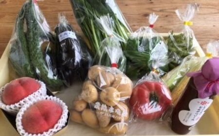 JA直売所 季節の新鮮野菜・加工品セット