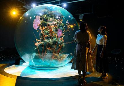 AQUARIUM × ART atoa@i3lj