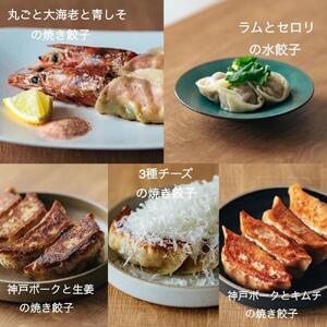 TOKI PAO餃子5種56個セット