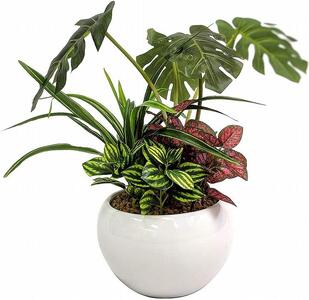 人工観葉植物　モンステラ寄せ植えジャングルポット