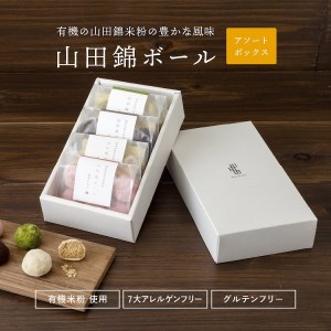 グルテンフリー 山田錦 ボール [箱入り4種アソート(和三盆/カカオ/抹茶/えちご姫(いちご) )]