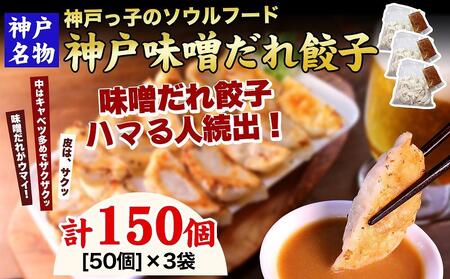 餃子専門店イチローの返礼品 検索結果 | ふるさと納税サイト「ふるなび」