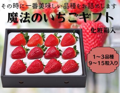 [12月上旬から順次出荷]魔法のいちごギフト化粧箱入り 果物 フルーツ デザート かおり野 かんな姫 おいCベリー よつぼし 紅ほっぺ ほしうらら スターナイト