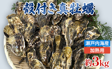 旬にお届け!姫路産 殻付き真牡蠣(加熱用)約3kg / カキ かき 貝類 兵庫県 特産品