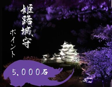 姫路城守ポイント(5,000石)