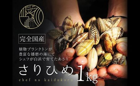 [さりひめ]姫路産養殖活あさり 1kg | 魚介 魚介類 貝類 海鮮 食べごたえ 味噌汁 酒蒸し パスタ 焼き牡蠣 海の幸